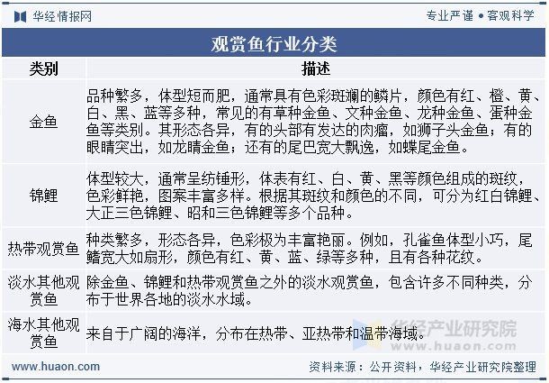 觀賞魚屬于什么行業(yè)