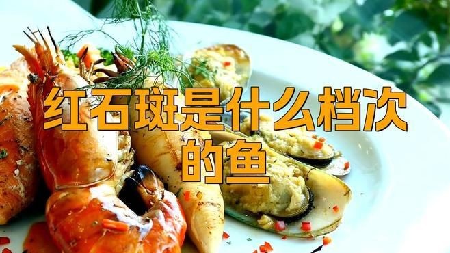 紅石斑是什么檔次的魚