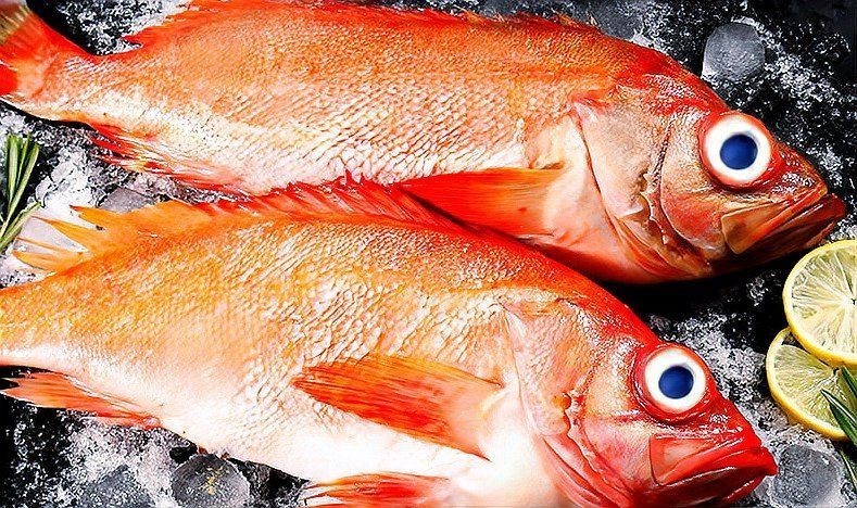 紅石斑是什么檔次的魚