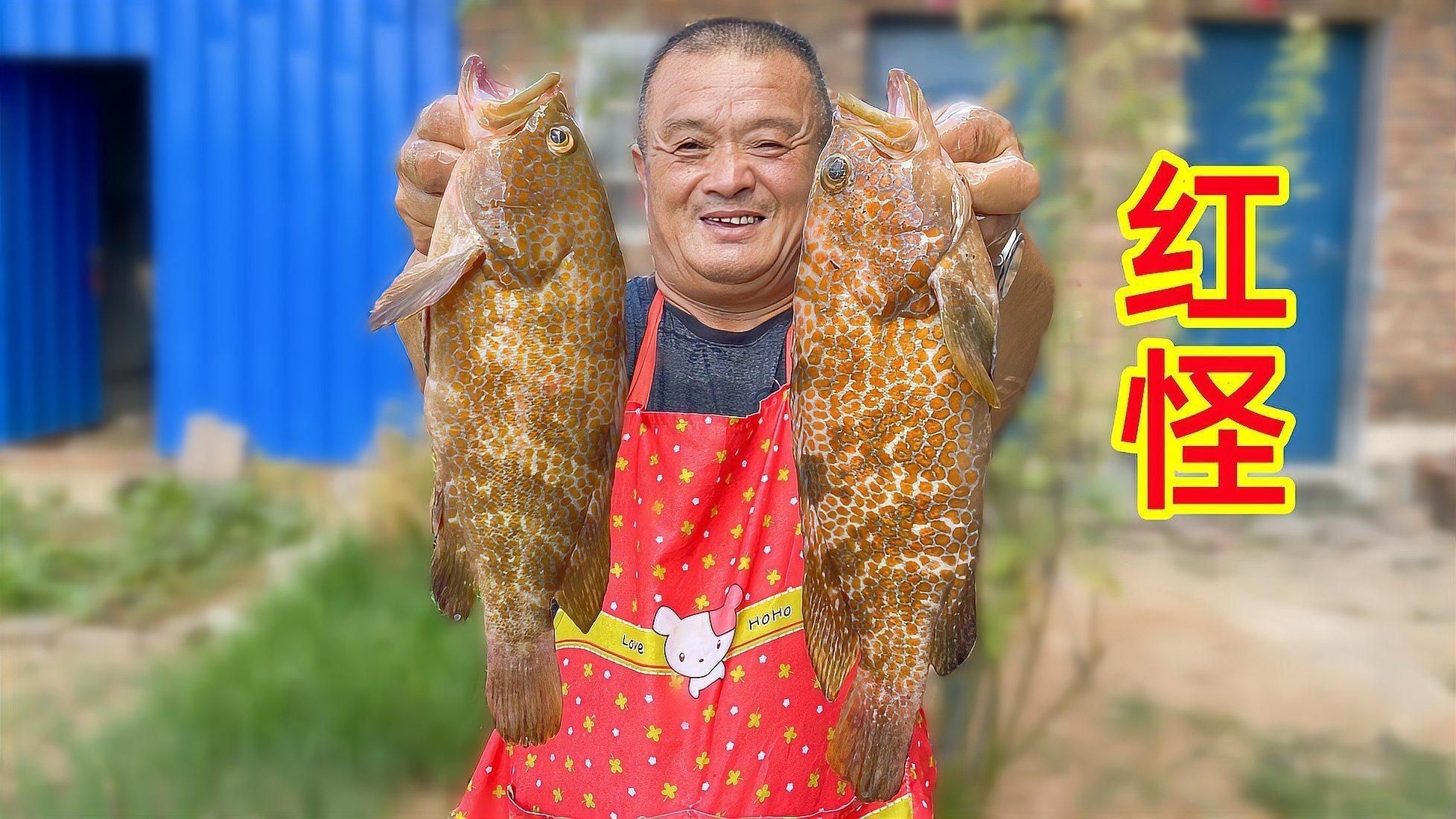 紅石斑是什么檔次的魚