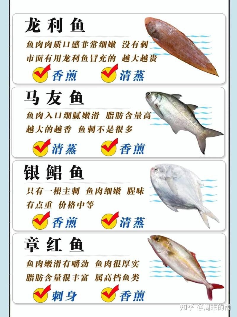 海魚大全500種
