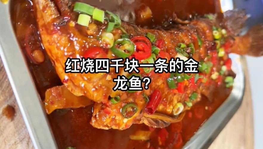 紅燒龍魚的家常做法大全