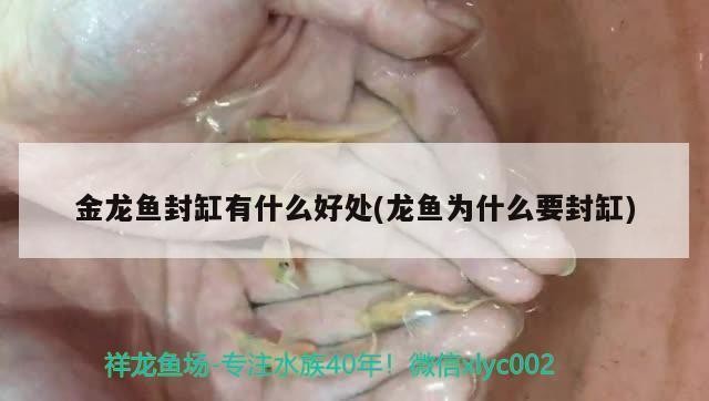 魚缸過濾器選購指南:自制魚缸過濾器魚缸上置過濾器對于養魚愛好者的必備知識 紅龍魚養殖溫度是多少度最好(紅龍魚養殖溫度是多少度最好呢) 龍魚百科 紅龍魚養殖溫度是多少度最好(紅龍魚養殖溫度是多少度最好呢) 紅龍魚養殖溫度是多少度最好(紅龍魚養殖溫度是多少度最好呢) 龍魚百科