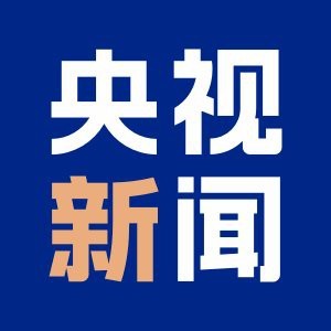 能否提供龍龍視頻的詳細介紹？