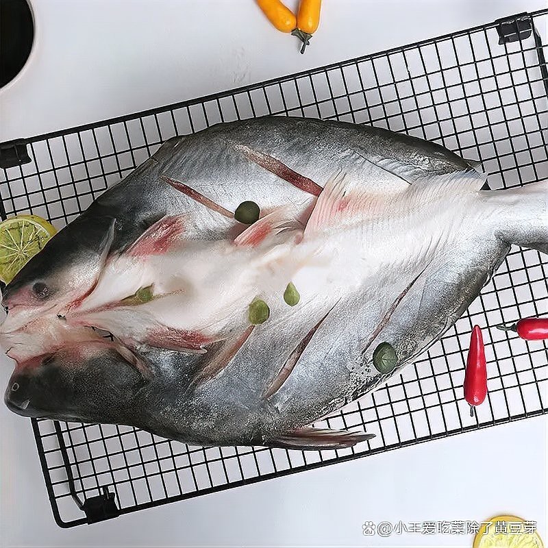 淡水魚盲盒