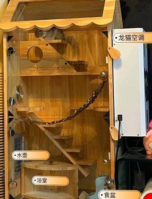 如何預防龍貓攜帶病毒？ 如何預防龍貓攜帶病毒？ 龍魚百科 第3張