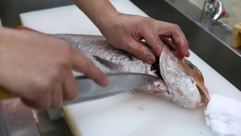 鯛魚寓意