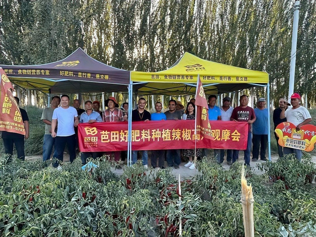 紅龍23辣椒的主要用途有哪些？