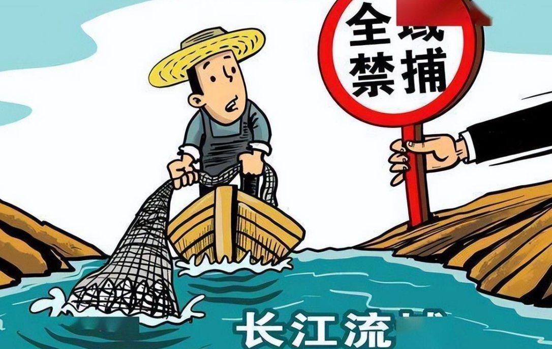 火老虎魚不能亂養(yǎng)