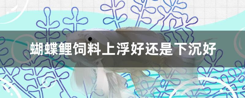 蝴蝶鯉飼料上浮好還是下沉好