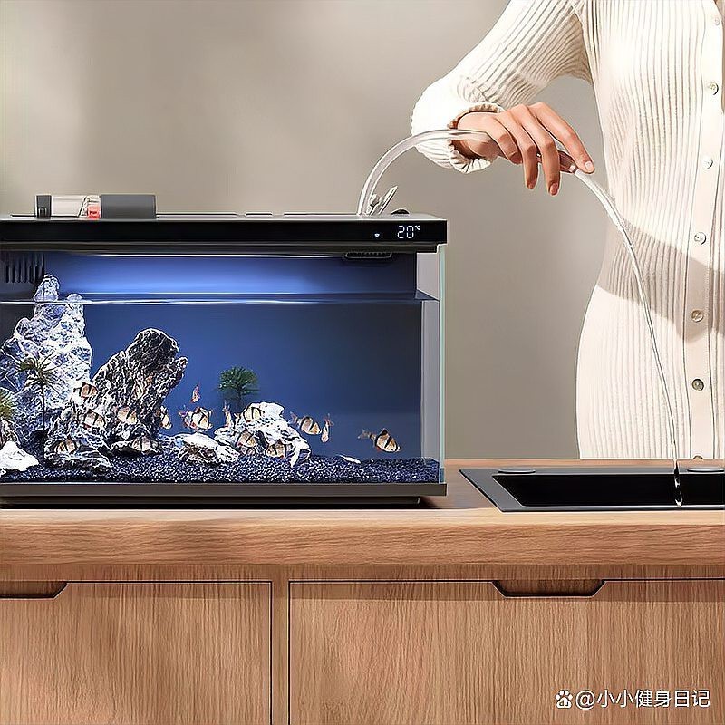 森森魚缸型號對照表