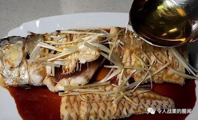 男子三年前買了一條銀龍魚，結果水泵出問題，網友：這也行 男子三年前買了一條銀龍魚，結果水泵出問題，網友：這也行 銀龍魚百科 第4張