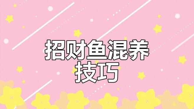 有哪些成功的招財龍魚混養案例