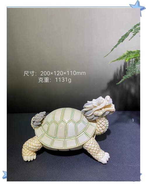 有沒有鎮宅龍龜擺放的圖片參考？