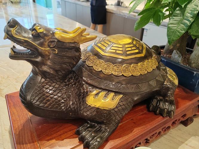 有沒有鎮宅龍龜擺放的圖片參考？