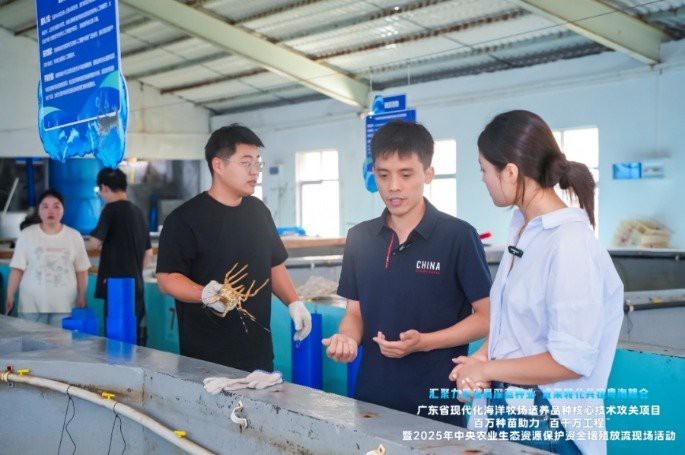 金頭古龍的人工繁育進(jìn)展如何？