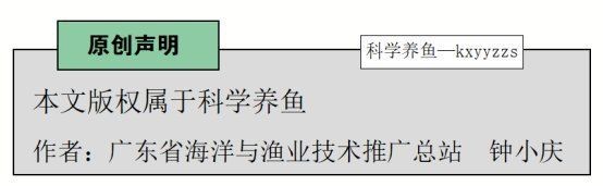 紅色大頭魚圖片