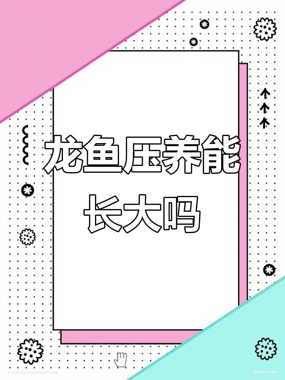 如何改善被壓養(yǎng)的紅龍魚(yú)？