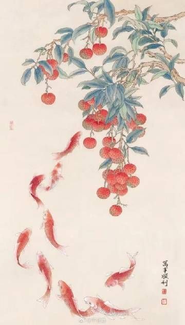 紅財(cái)神魚最忌諱三個(gè)東西