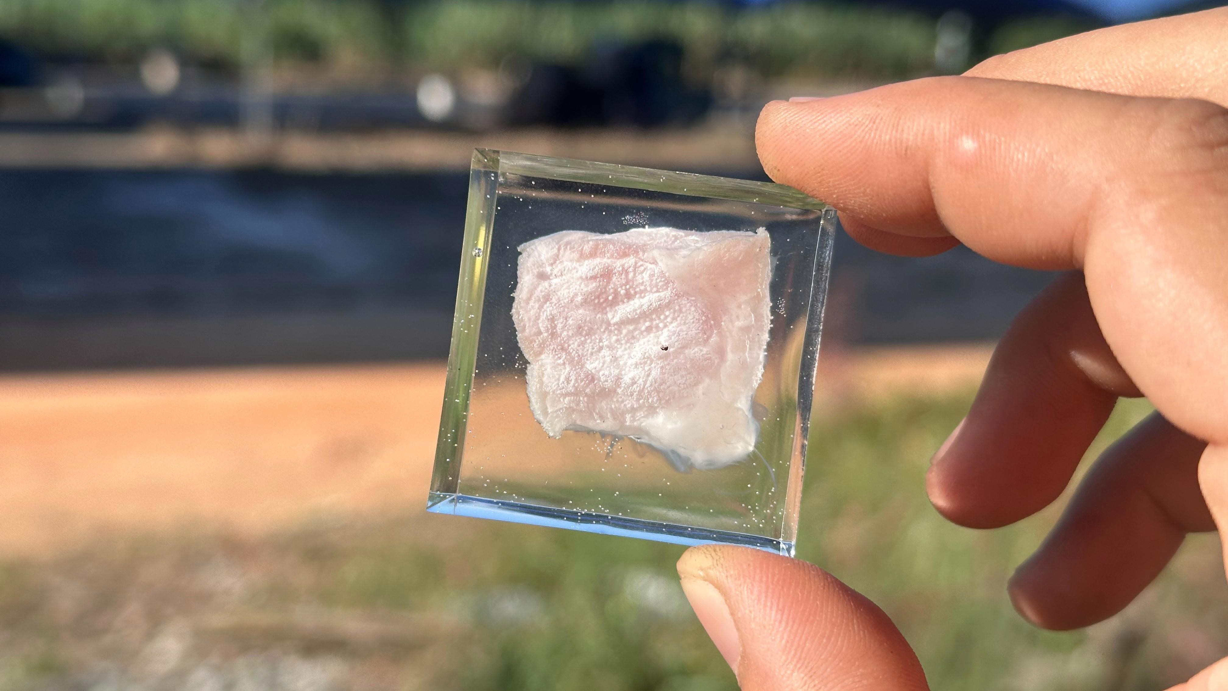 環氧樹脂和環保樹脂有何區別？