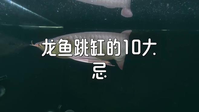 龍魚老是跳缸怎么回事