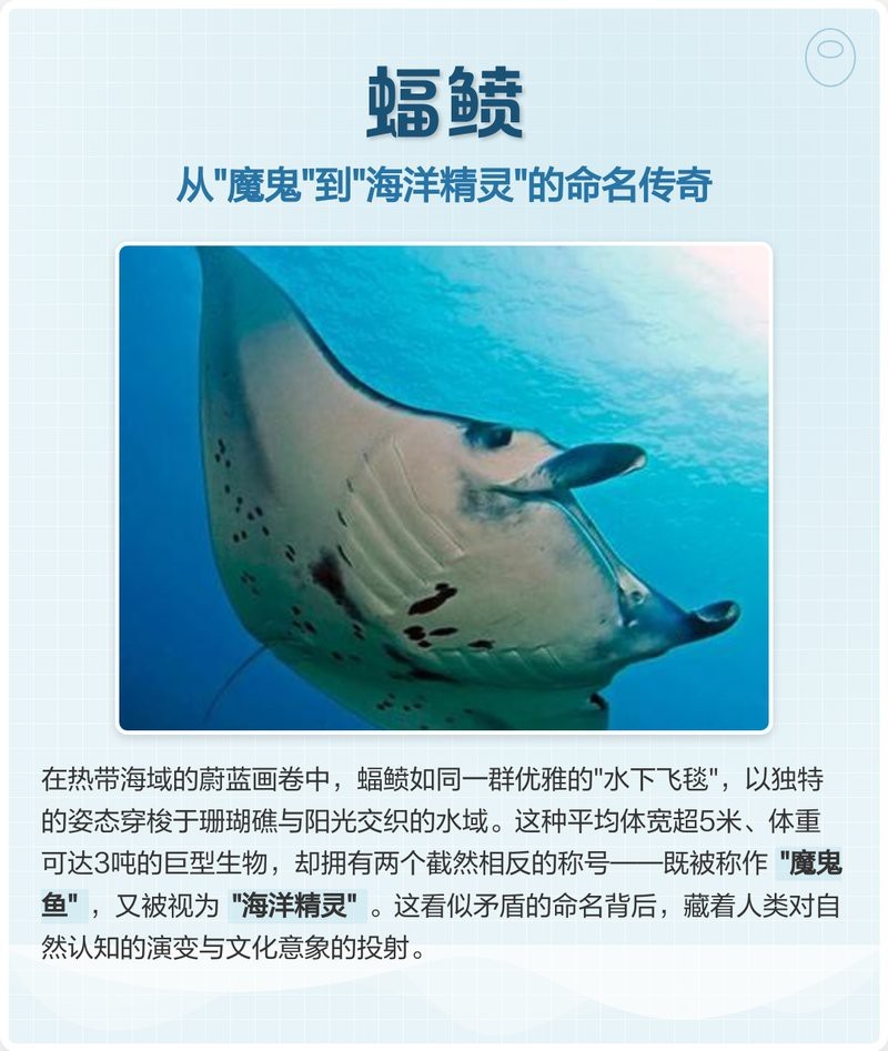 蝠鲼為什么叫魔鬼魚(yú)