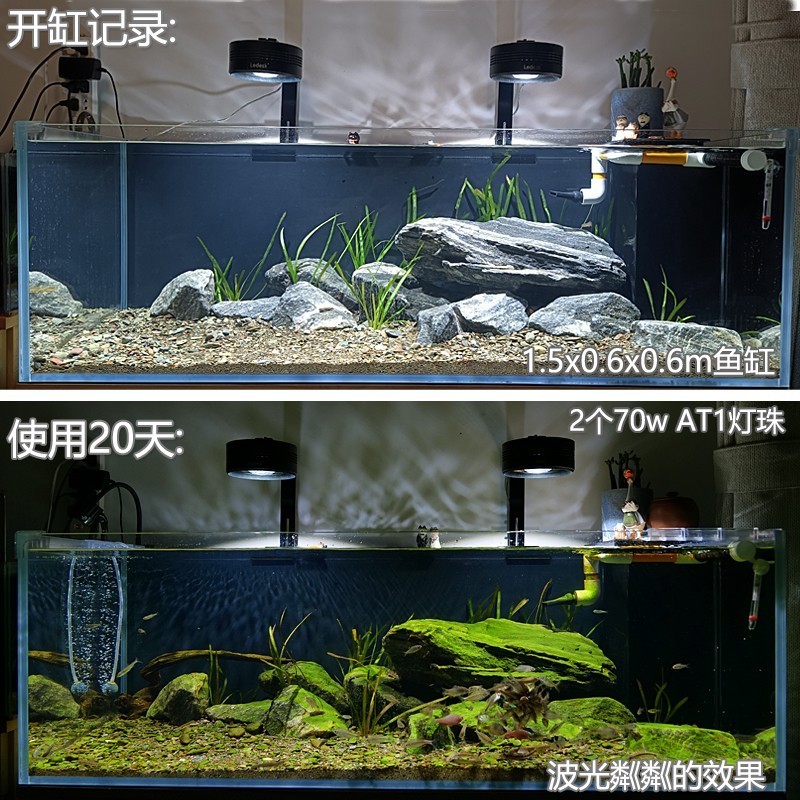 許昌市魏都區村雨水族館（許昌市魏都區村雨水族館電話）