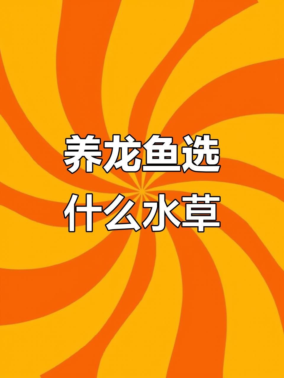 龍魚缸放什么水草最好