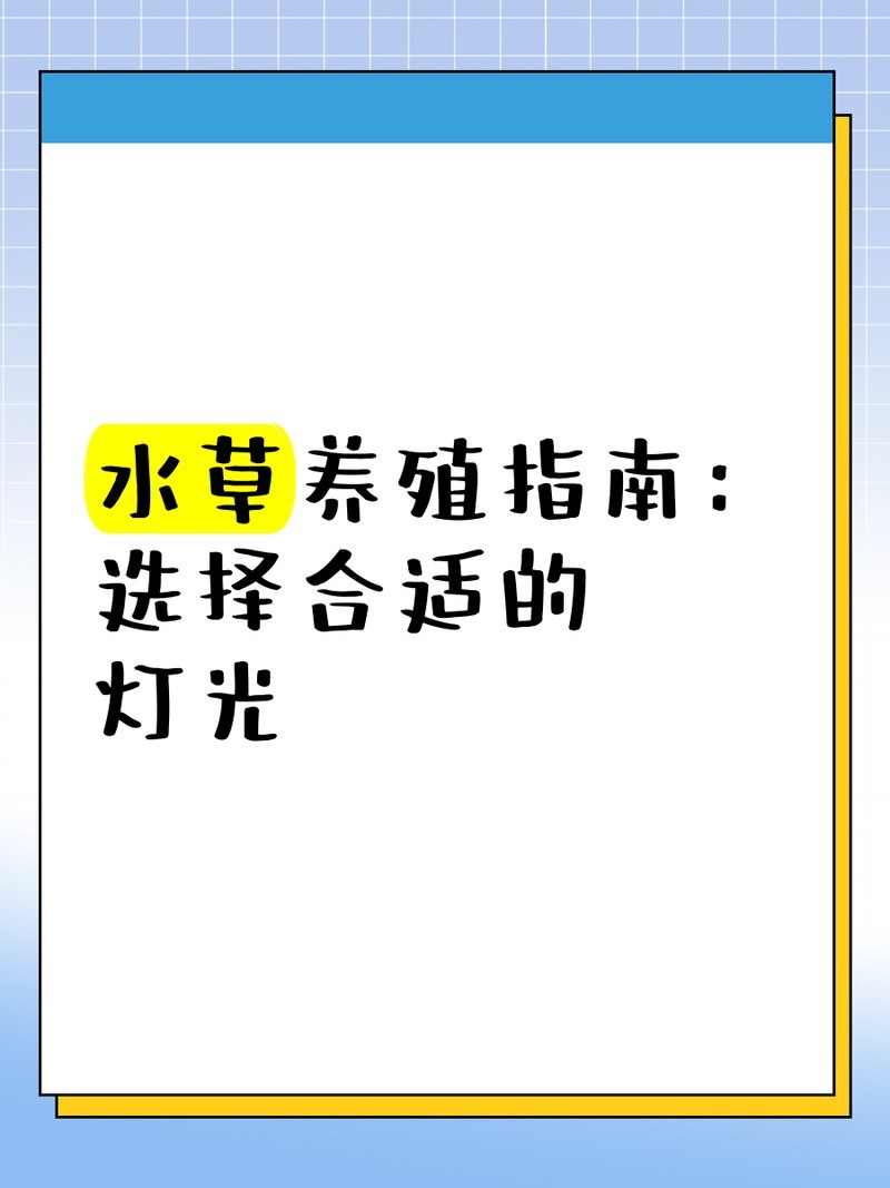 龍魚幼苗需要什么樣的燈光？
