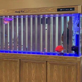 附近上門維修魚缸