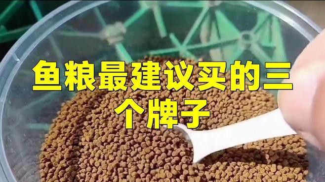 還有哪些龍魚供應鏈品牌？