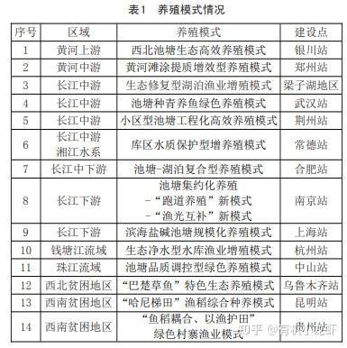 雙線鯽魚能長多大