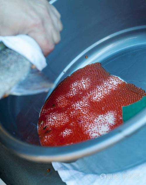 麗江龍魚的卵長什么樣