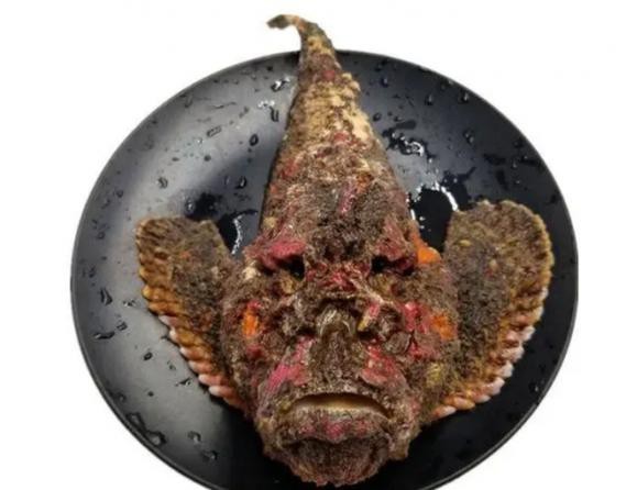 淡水老虎魚圖片