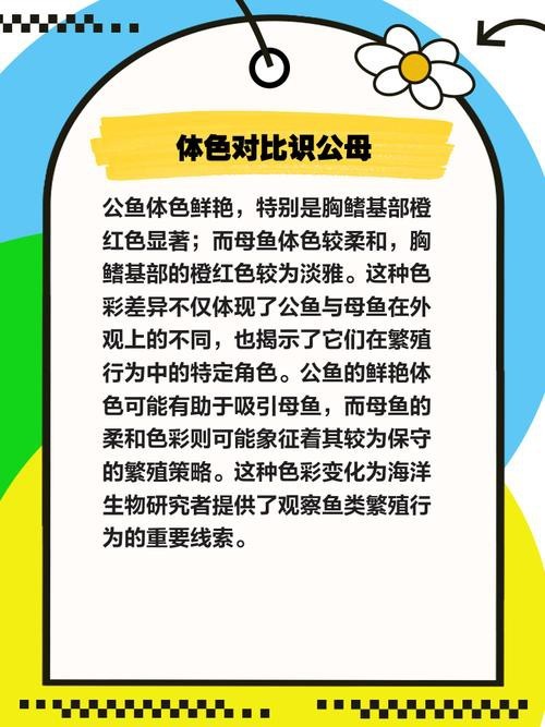 曼龍魚公母區分圖