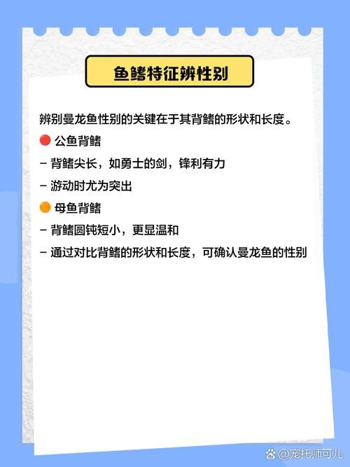 曼龍魚公母區分圖