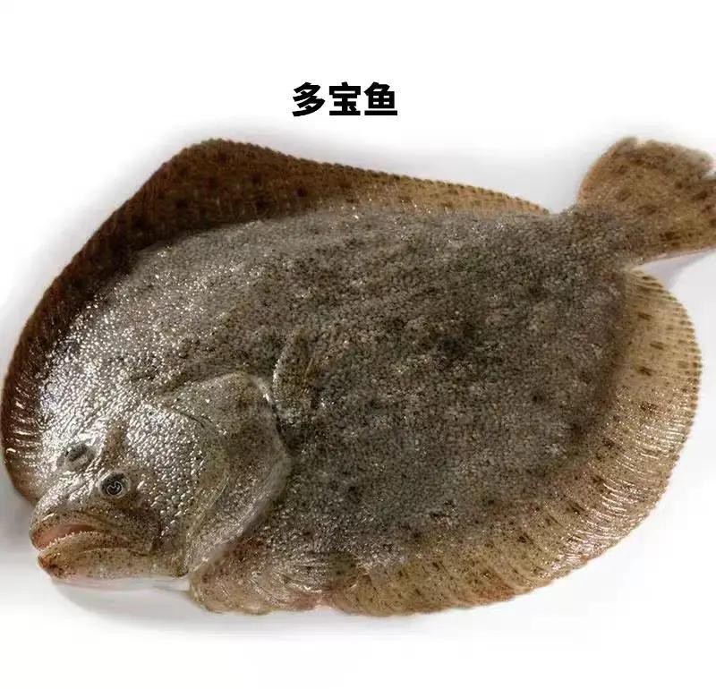 多寶魚屬于寒性還是熱性