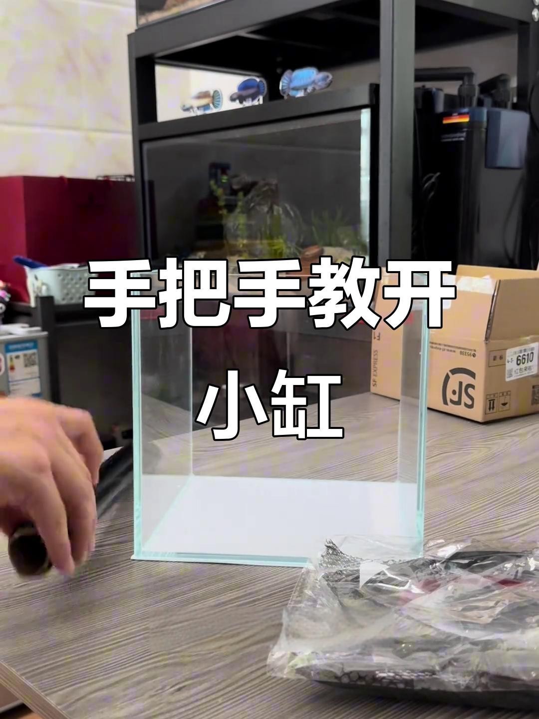龍魚缸開缸時需要放鹽嗎？