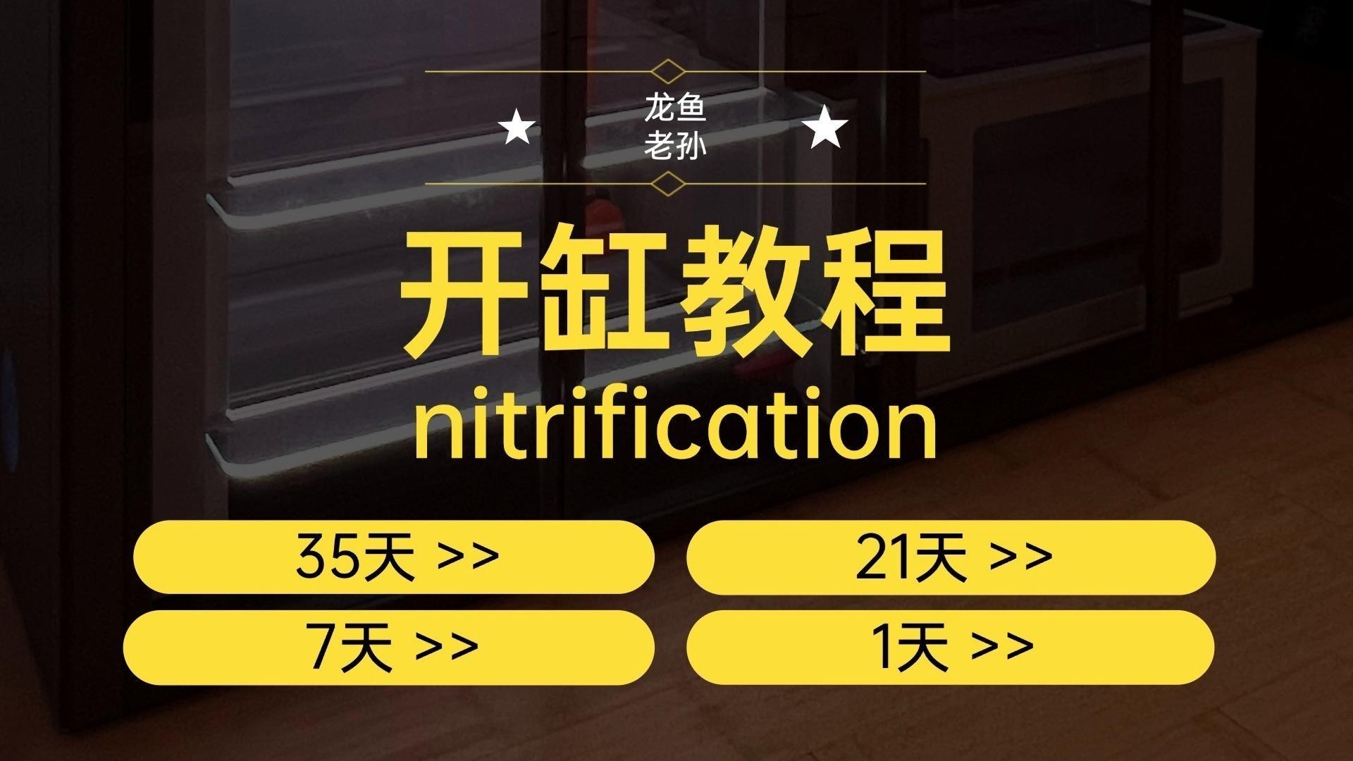龍魚缸開缸時需要放鹽嗎？