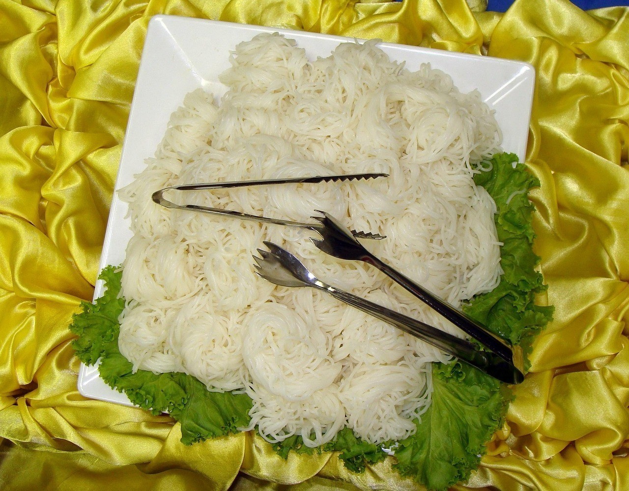 哪種龍魚更容易感染寄生蟲？
