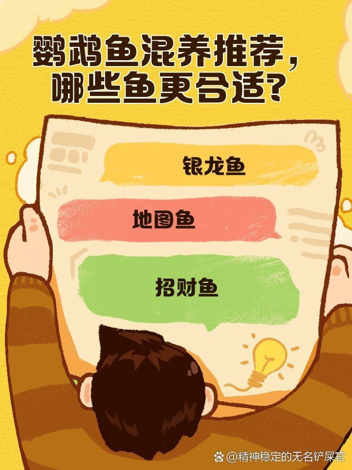 虎鯊和鸚鵡魚混養