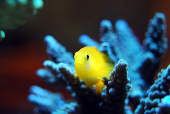 伊寧市魚水緣水族館（伊寧市魚水緣水族館電話）