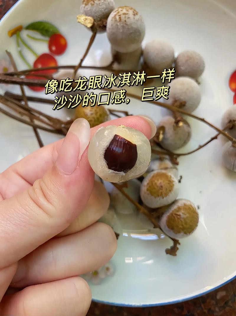 新鮮龍眼冷凍后還能吃嗎？