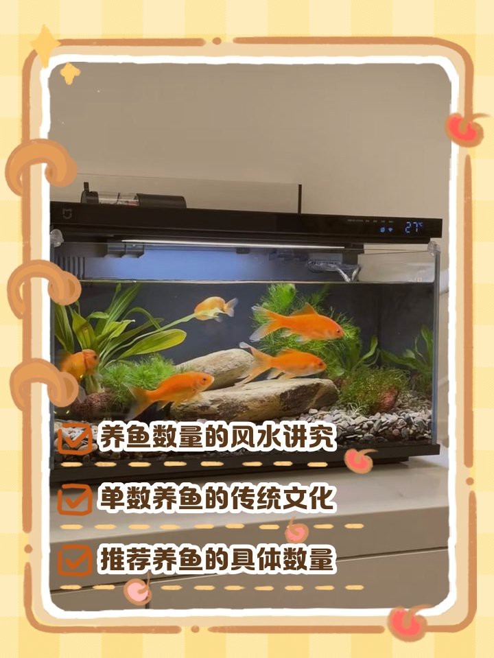 1988屬龍的人養(yǎng)幾條魚最好