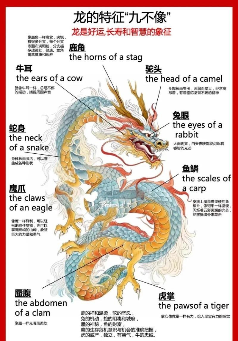 1988屬龍的人養幾條魚最好 1988屬龍的人養幾條魚最好 龍魚論壇 第8張