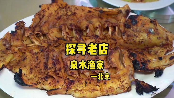 紅龍魚飼養要點有哪些？