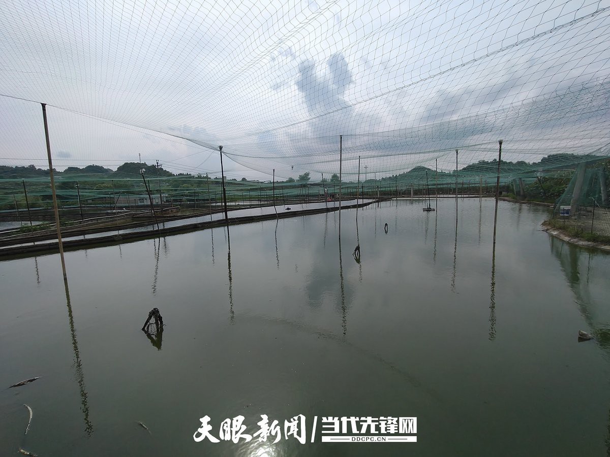 附近的觀賞魚養殖基地 附近的觀賞魚養殖基地 龍魚論壇 第4張