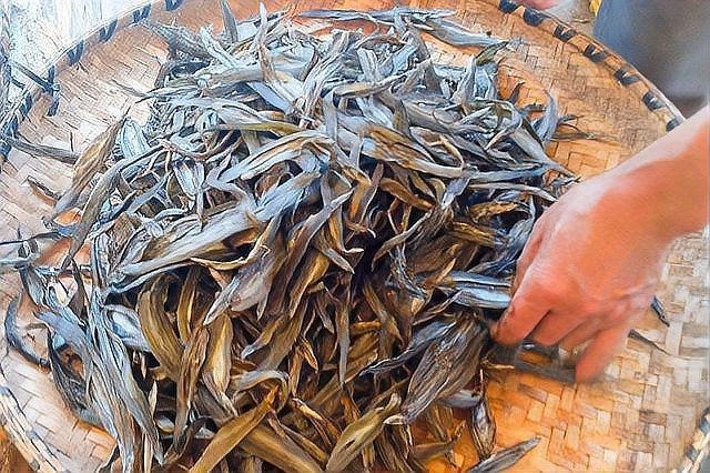龍鰍魚多少錢一斤