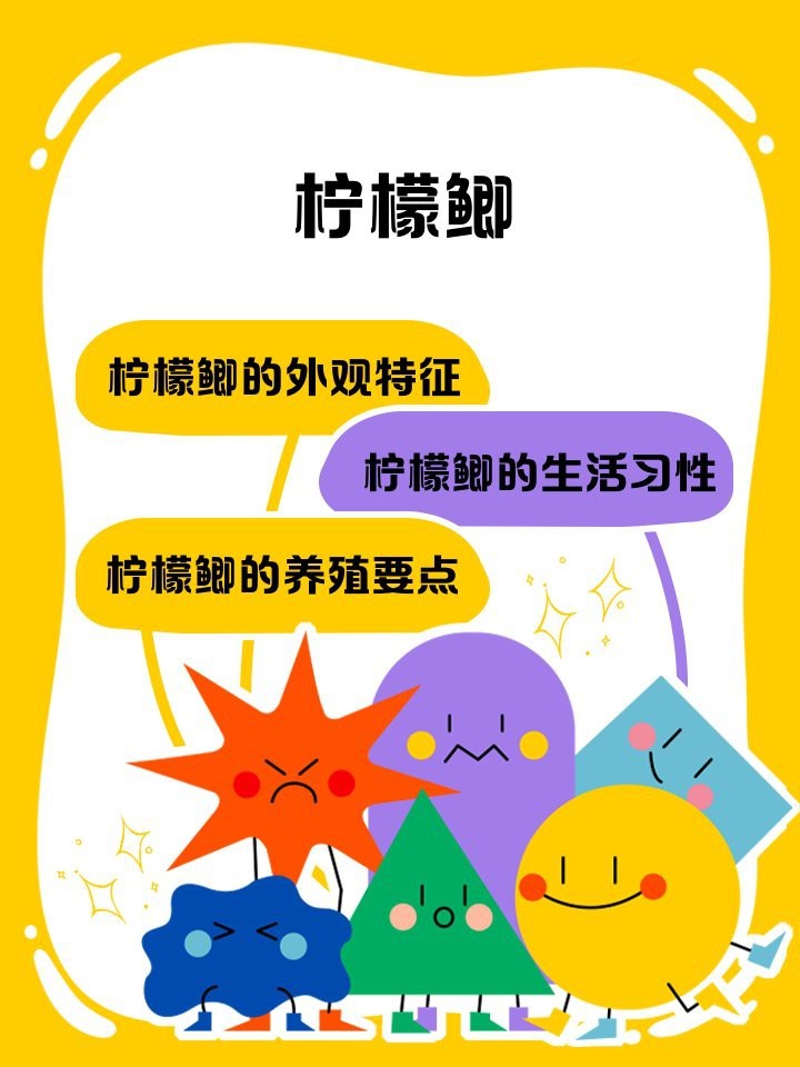 檸檬鯽是雜牌子還是名牌