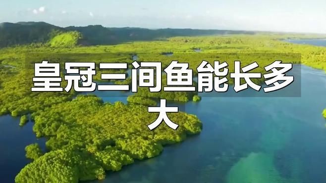 皇冠三間和帝王三間哪個長得大